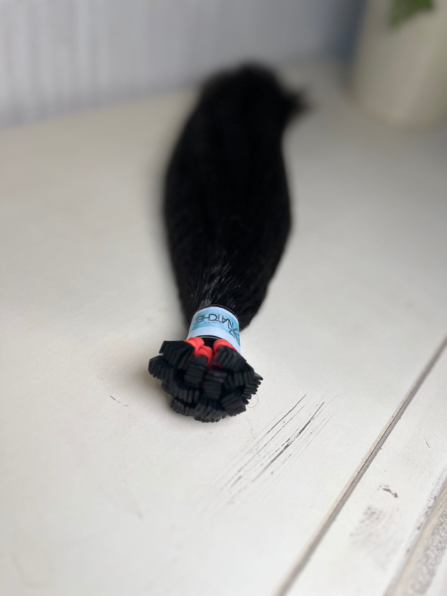 Burmese Kinky Straight K-Tips
