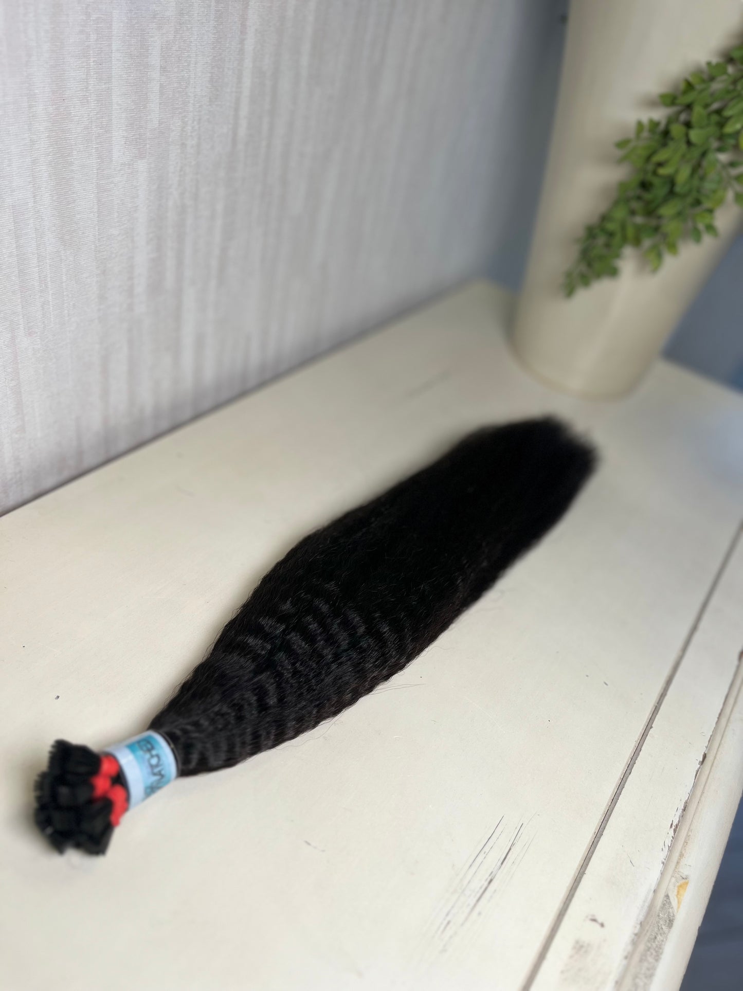 Burmese Kinky Straight K-Tips