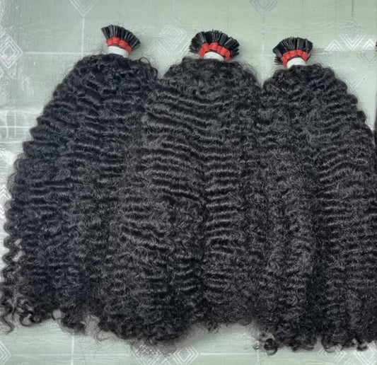 Burmese Kinky Curly K-Tips